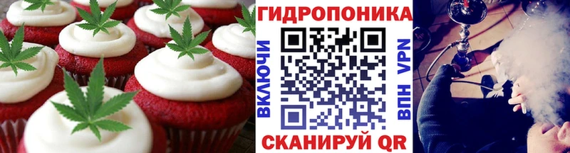 Canna-Cookies марихуана продажа наркотиков Колпашево