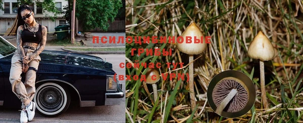 прущие крисы Нея